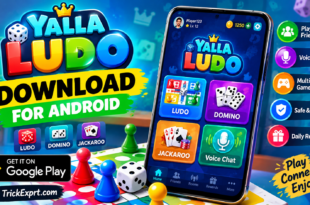 Yalla Ludo Game Download